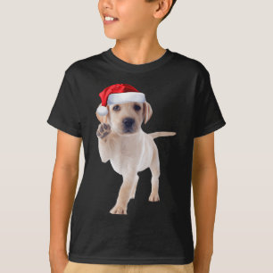 Lab Amarelo Cachorro Camisa Santa Hera Cristo Engr