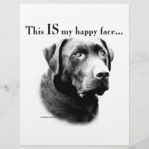 Lab Face Feliz