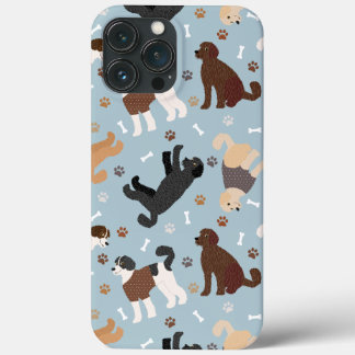 Labradoodle / Ossos e patas de Goldendoodle