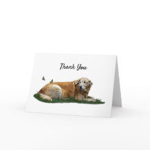 Labrador Amarelo Mistura de Cartões de agradecimen