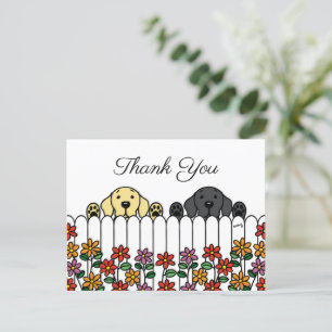 Labrador Duo Assistindo Você Obrigado Cartão Posta