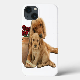 Labrador e cachorros