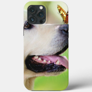 Labrador E Travesseiro decorativo De Borboleta