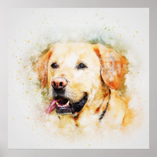 Labrador Poster (Frente)