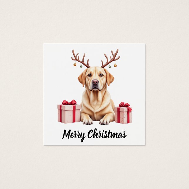 Labrador Reindeer (Frente)