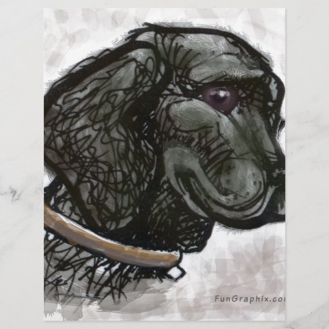 Labrador Retriever (Frente)