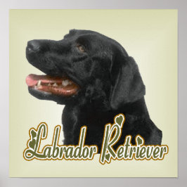Labrador Retriever Art Impressão