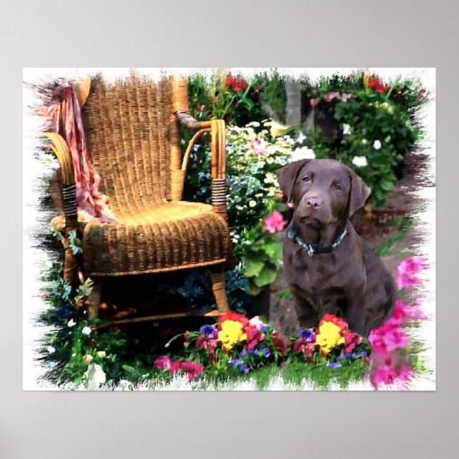 Labrador Retriever Art Impressão (Frente)