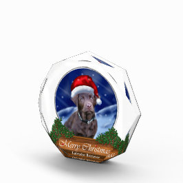 Labrador Retriever Christmas