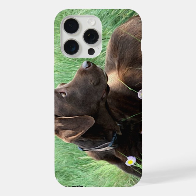 Labrador Retriever E Flores Roxas (Verso)