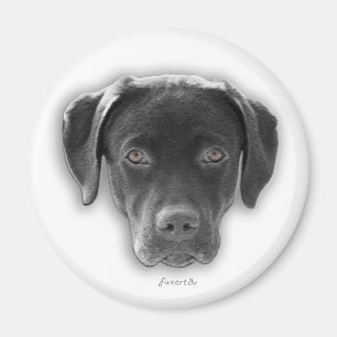 Labrador Retriever íman