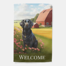 Labrador Retriever na Fazenda