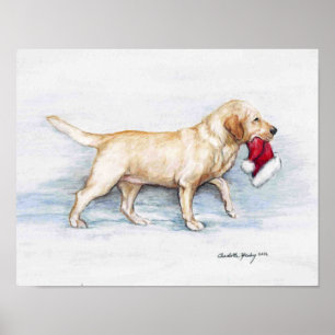 Labrador retriever que leva o impressão do chapé
