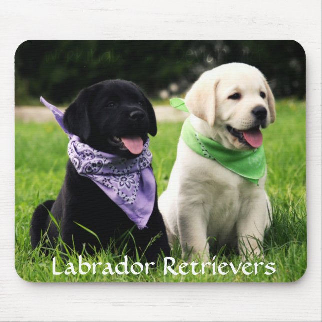 Labrador Retrievers Regra Puppies Mousepad (Frente)