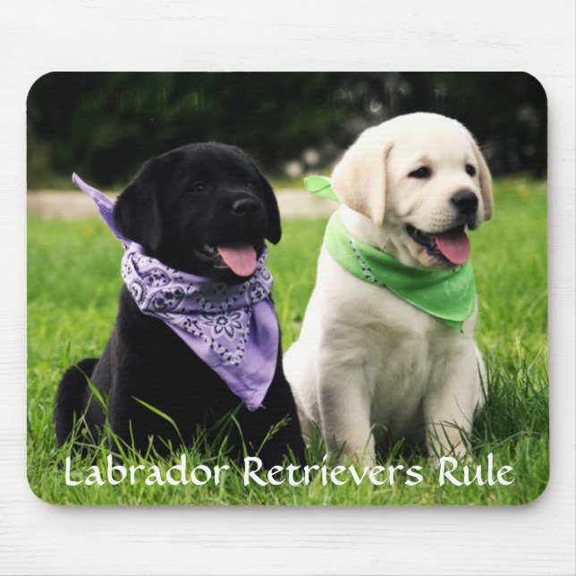 Labrador Retrievers Regra Puppies Mousepad (Frente)