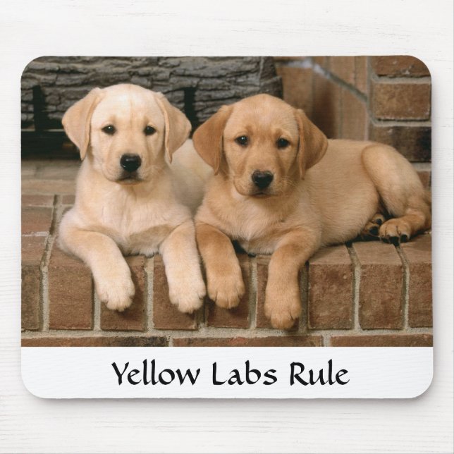 Labrador Retrievers Regra Puppies Mousepad (Frente)