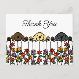 Labrador Trio Assistindo Você Obrigado Cartão Post