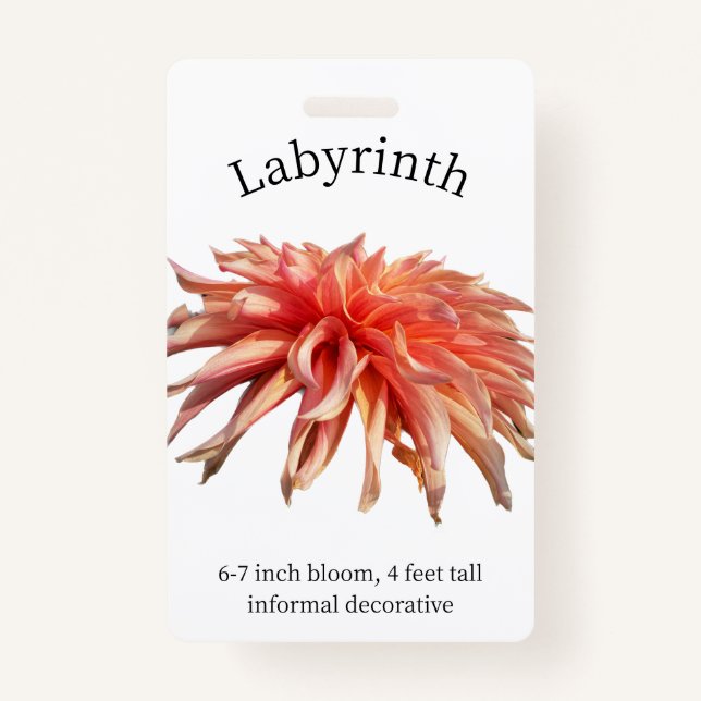 Labyrinth Dahlia ID Crachá (Frente)