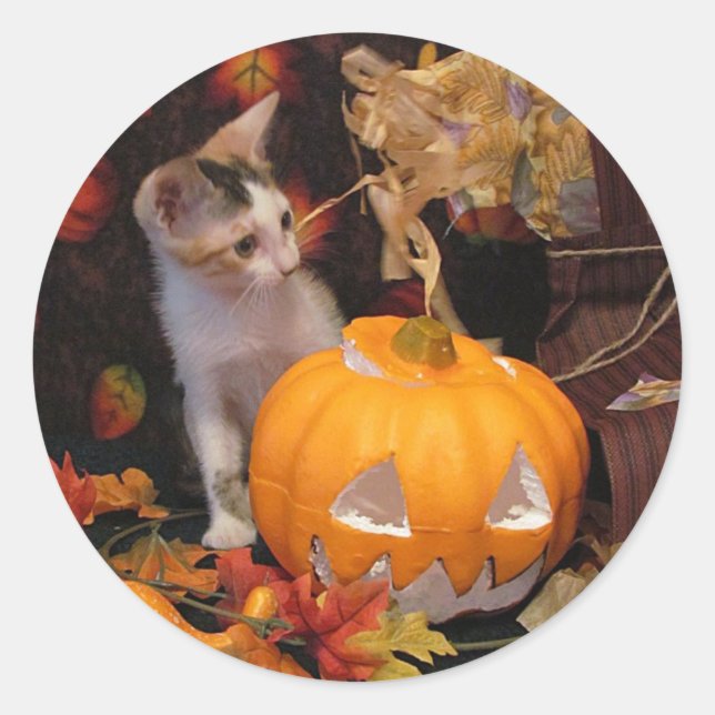 Lacey - Gato de Halloween / Adesivos de Gatinho (Frente)