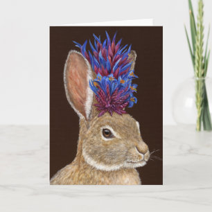 Lacey, o cartão de saudação do desert cottontail