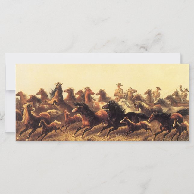 Laço de Cavalos Selvagens por James Walker (Frente)