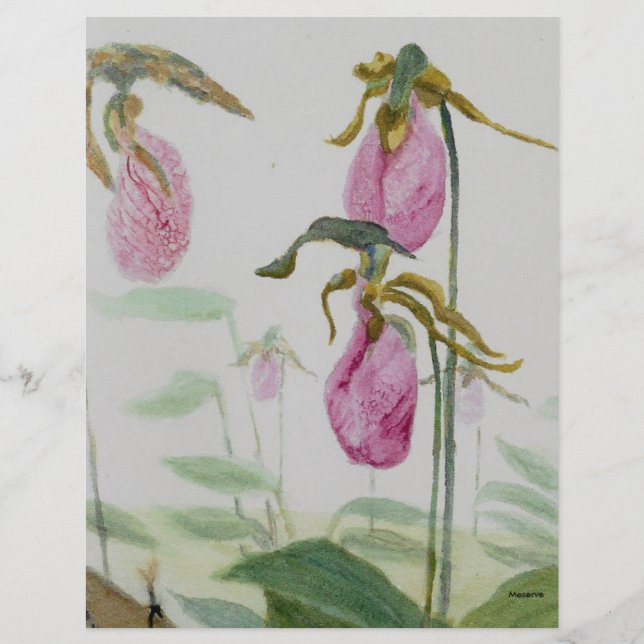 Lady Slippers (Frente)