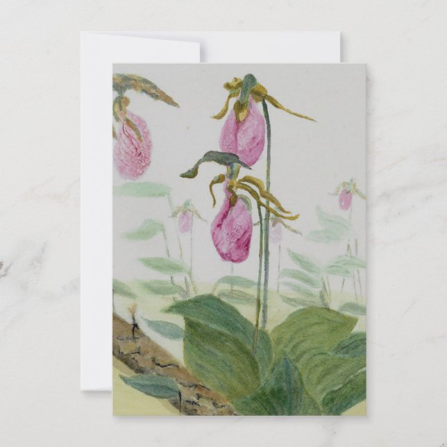 Lady Slippers Flat Card (Frente)