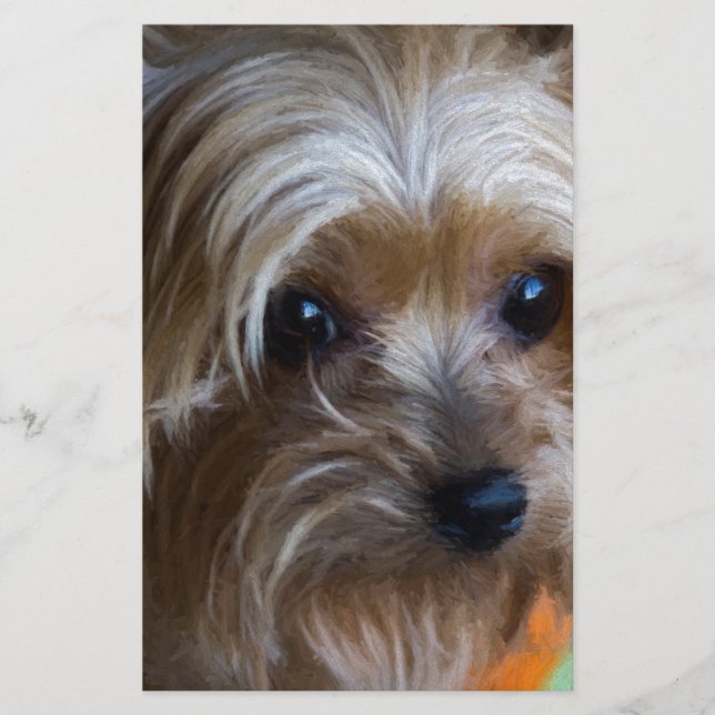 Lady Yorkshire Terrier (Frente)