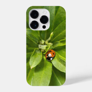 Ladybug em Flores