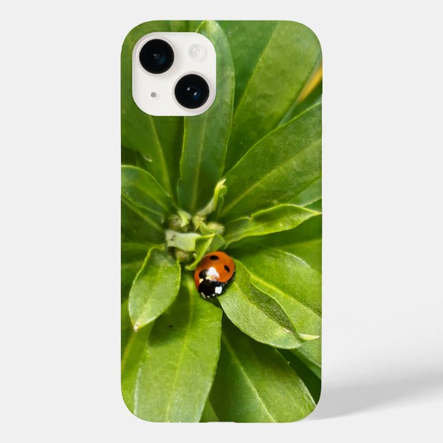 Ladybug em Flores (Verso)