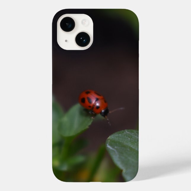 Ladybug em Flores (Verso)