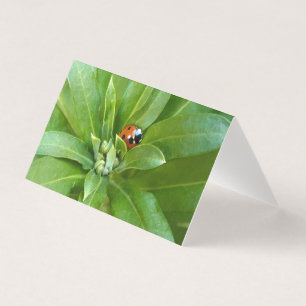 Ladybug em Flores
