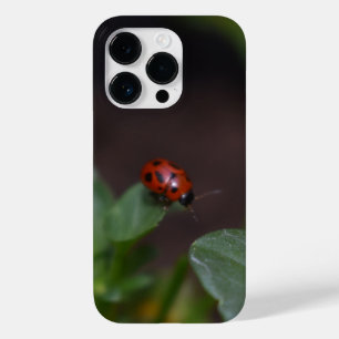 Ladybug em Flores