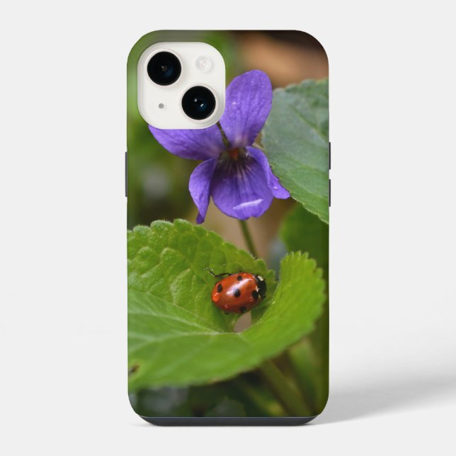 Ladybug em Flores de Violeta Doce (Verso)