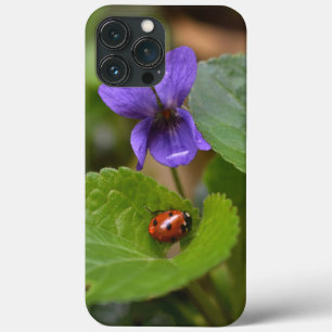 Ladybug em Flores de Violeta Doce