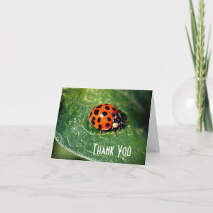 Ladybug Fechar Cartões de agradecimentos de Nature