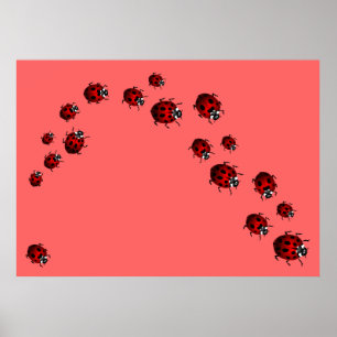 Ladybug Impressão Ladybird Art Grande Poster
