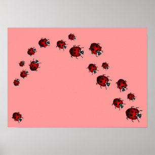 Ladybug Impressão Ladybird Art Grande Poster