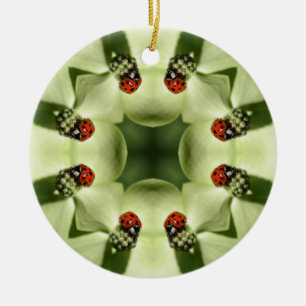 Ladybug Kaleidoscope Natureza Ornamento
