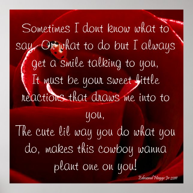 Ladybug Love with Poem Poster (Frente)