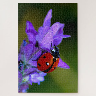Ladybug na lavanda quebra-cabeça