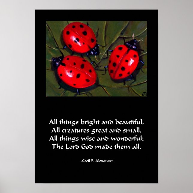 LADYBUG TODAS AS COISAS BRILHAM POSTER (Frente)