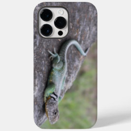 Lagarto