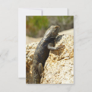 Lagarto Espinhoso de Dorso Amarelo em Joshua Tree
