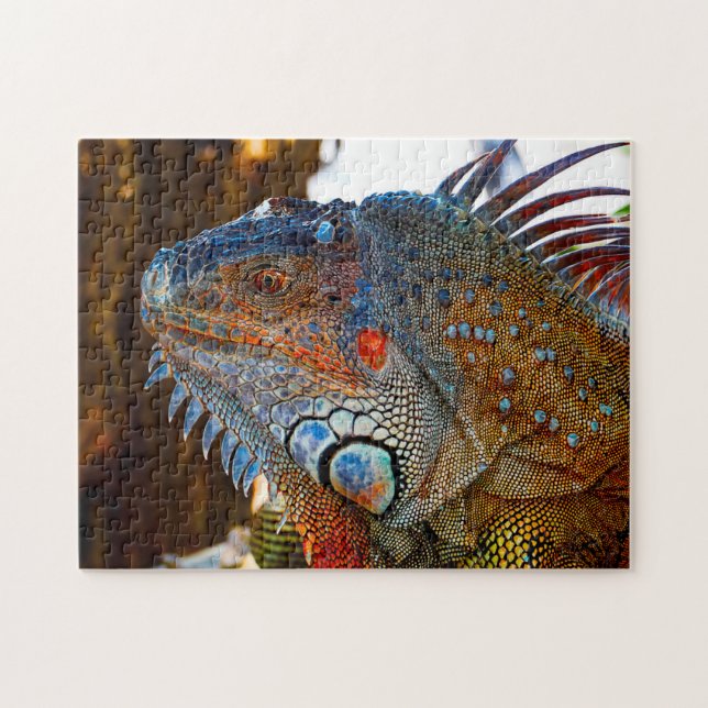 Lagarto Iguana Flórida . Quebra-cabeça (Horizontal)