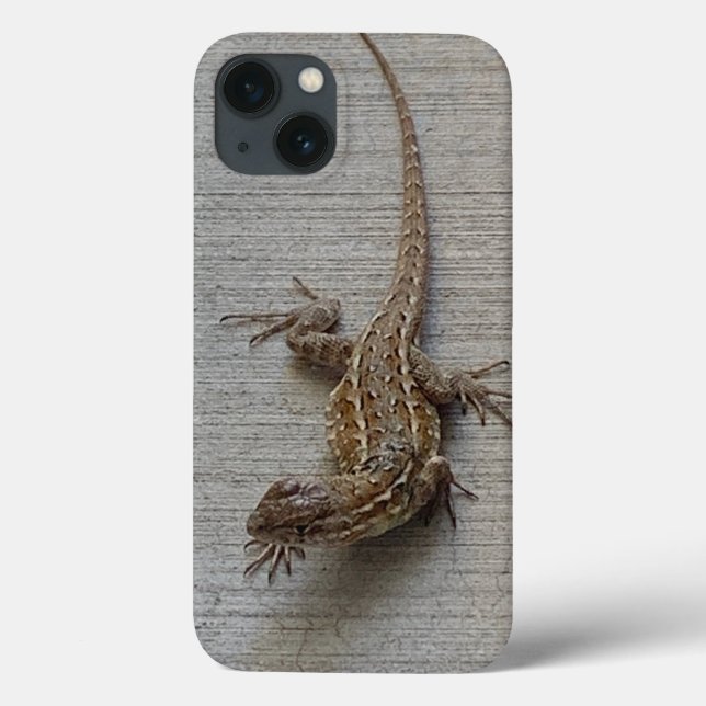Lagarto Legal da Calçada  (Verso)