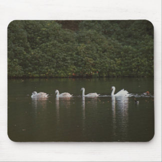Lago de Swan Mousepad