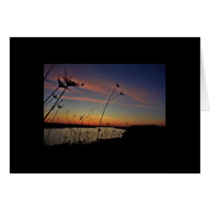 lago do cartão de ozarks