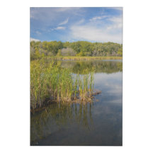 Lago Grassy