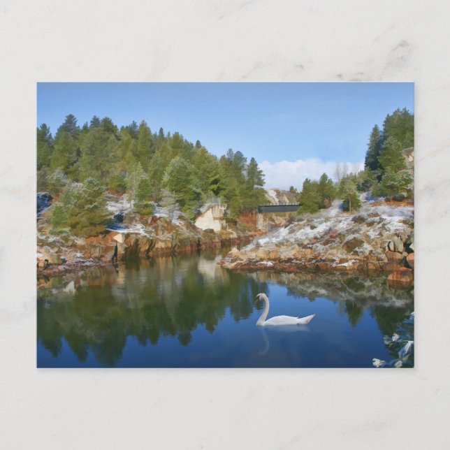 Lago Mountain, Swan, Cartão postal Reflexo (Frente)